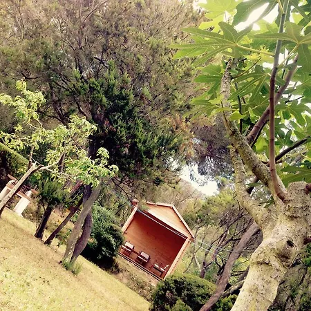 Calderino
