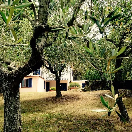 Calderino Feriehus Procchio (Isola d'Elba)